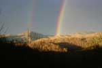 Tennessee Rainbow