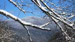Appalachian Snow