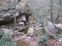 Downstream from the Blue Hole