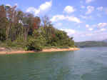 Watauga Shore
