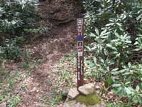 Trail Head